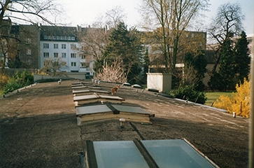 Dach des Jugendhauses Düsseldorf mit mehreren Dachfenstern. Im Hintergrund sind Bäume und Gebäude sichtbar. Ein Fuchs läuft auf dem Dach.
