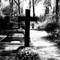 Grabstätte von Adalbert Probst